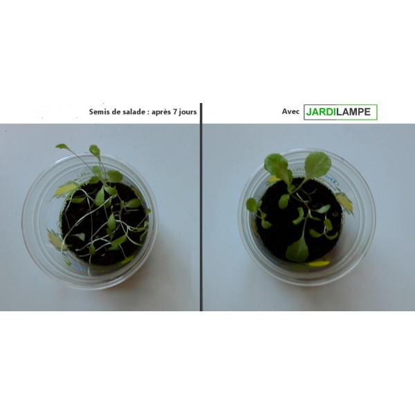 Lampe de croissance pour plantes d'intérieur - Jardiprotec